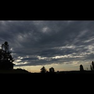 Meet your Posher, Summer